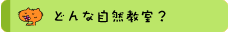 �ǂ�Ȏ��R�����H